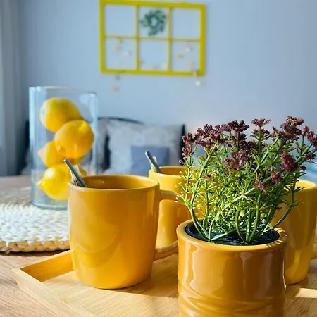 منزل للإقامة Na Turystycznej-apartamenty I W Sercu Uzdrowiska كودوفا- زدروي